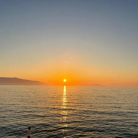 Petit Ritz * Vlorë